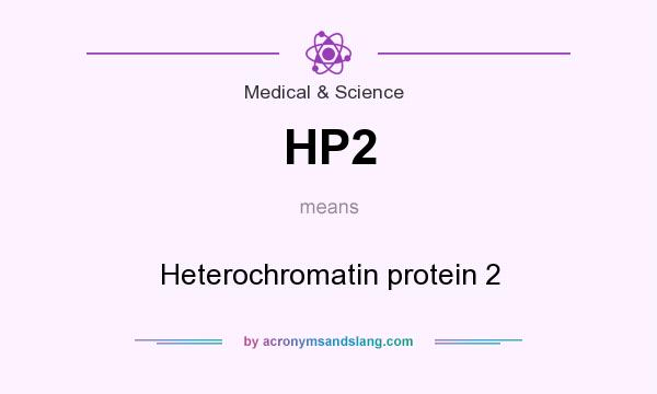 What does HP2 mean? It stands for Heterochromatin protein 2