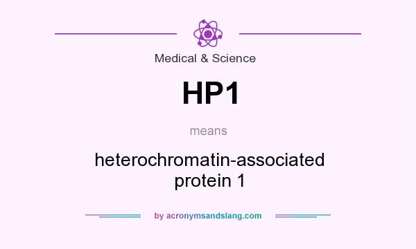 What does HP1 mean? It stands for heterochromatin-associated protein 1