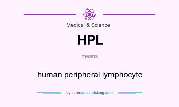 What does HPL mean? It stands for human peripheral lymphocyte