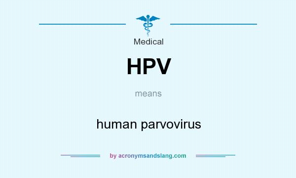 What does HPV mean? It stands for human parvovirus