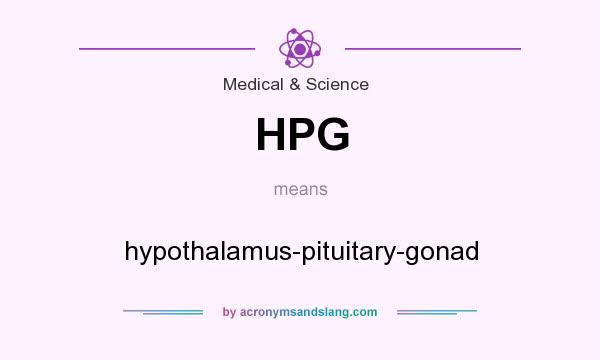 What does HPG mean? It stands for hypothalamus-pituitary-gonad