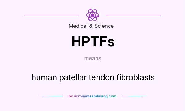 What does HPTFs mean? It stands for human patellar tendon fibroblasts