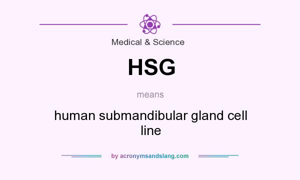 What does HSG mean? It stands for human submandibular gland cell line