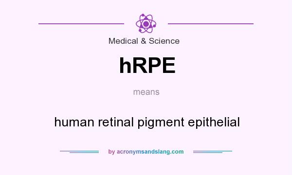 What does hRPE mean? It stands for human retinal pigment epithelial