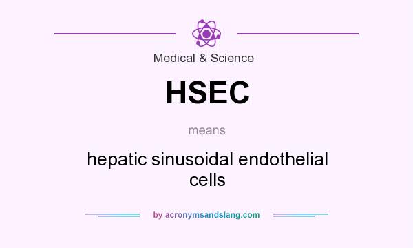 What does HSEC mean? It stands for hepatic sinusoidal endothelial cells