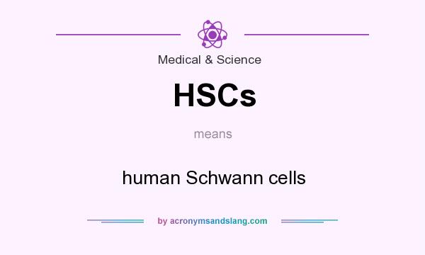 What does HSCs mean? It stands for human Schwann cells