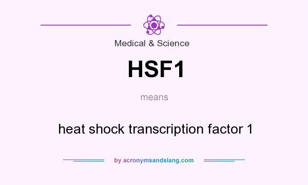 What does HSF1 mean? It stands for heat shock transcription factor 1