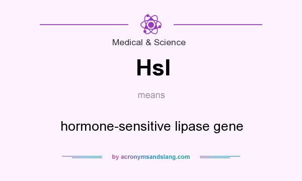What does Hsl mean? It stands for hormone-sensitive lipase gene