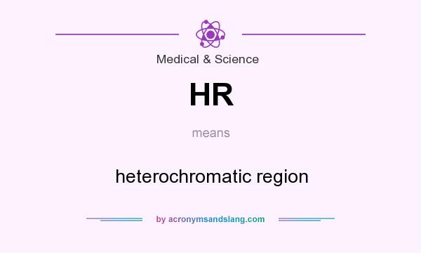 What does HR mean? It stands for heterochromatic region