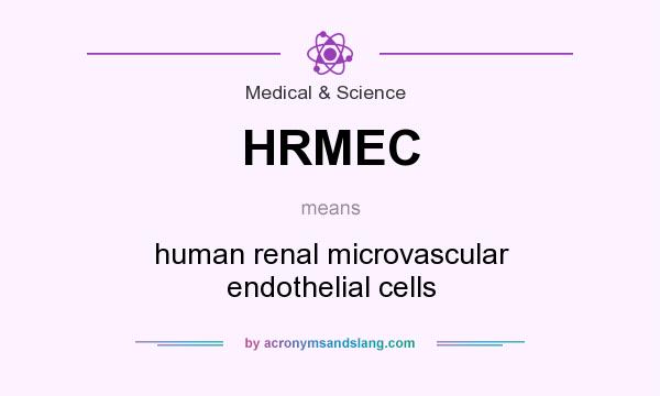 What does HRMEC mean? It stands for human renal microvascular endothelial cells