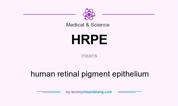 What does HRPE mean? It stands for human retinal pigment epithelium