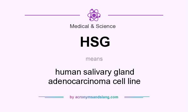 What does HSG mean? It stands for human salivary gland adenocarcinoma cell line