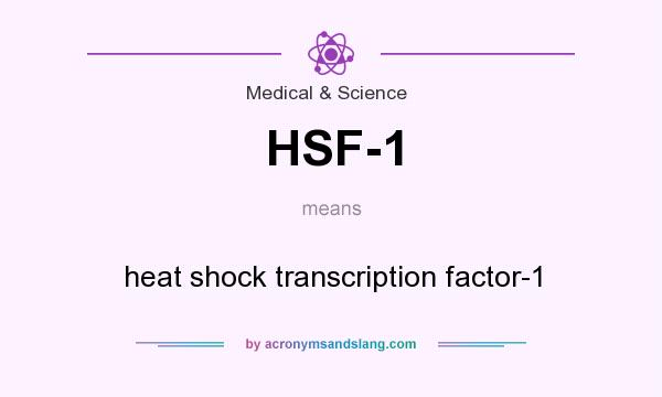 What does HSF-1 mean? It stands for heat shock transcription factor-1