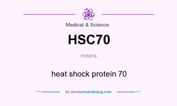 What does HSC70 mean? It stands for heat shock protein 70