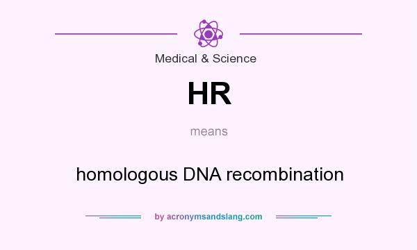 What does HR mean? It stands for homologous DNA recombination
