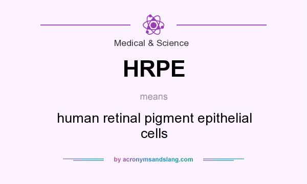What does HRPE mean? It stands for human retinal pigment epithelial cells