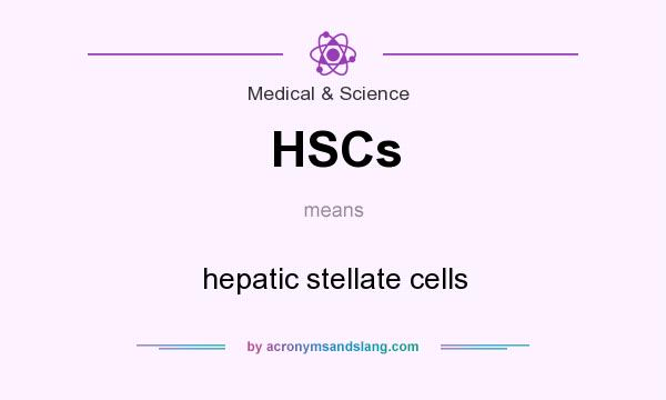 What does HSCs mean? It stands for hepatic stellate cells