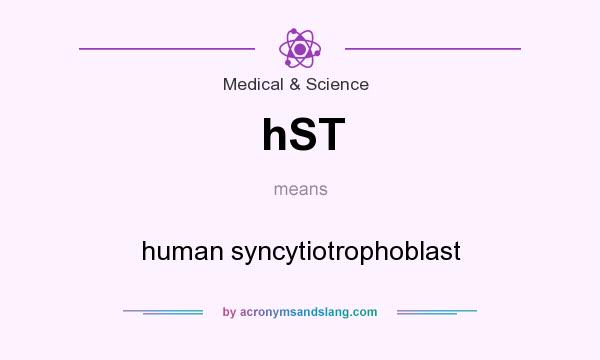 What does hST mean? It stands for human syncytiotrophoblast