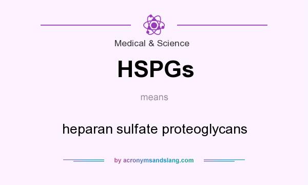 What does HSPGs mean? It stands for heparan sulfate proteoglycans
