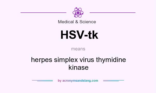 What does HSV-tk mean? It stands for herpes simplex virus thymidine kinase