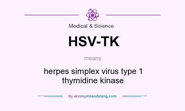 What does HSV-TK mean? It stands for herpes simplex virus type 1 thymidine kinase