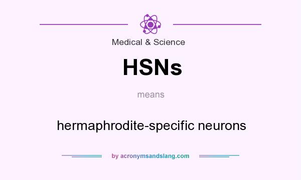 What does HSNs mean? It stands for hermaphrodite-specific neurons