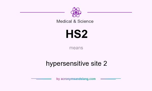 What does HS2 mean? It stands for hypersensitive site 2