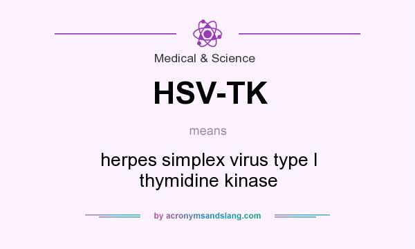 What does HSV-TK mean? It stands for herpes simplex virus type I thymidine kinase