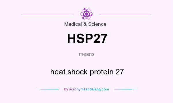 What does HSP27 mean? It stands for heat shock protein 27