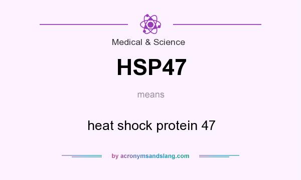 What does HSP47 mean? It stands for heat shock protein 47