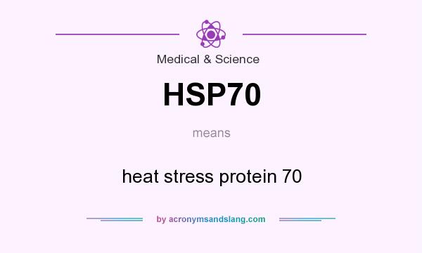 What does HSP70 mean? It stands for heat stress protein 70