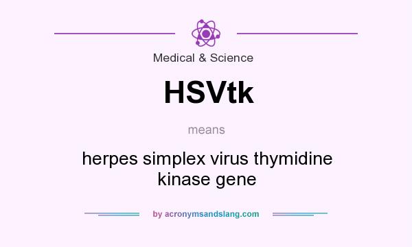 What does HSVtk mean? It stands for herpes simplex virus thymidine kinase gene