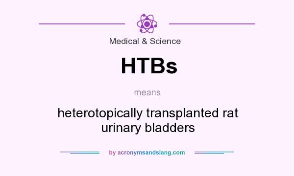 What does HTBs mean? It stands for heterotopically transplanted rat urinary bladders