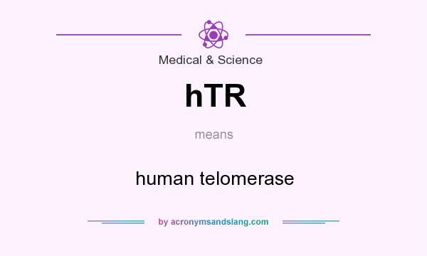 What does hTR mean? It stands for human telomerase