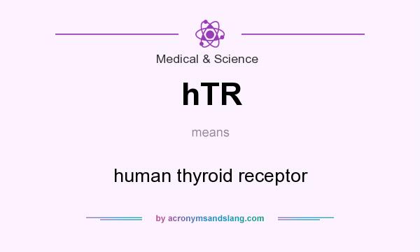 What does hTR mean? It stands for human thyroid receptor