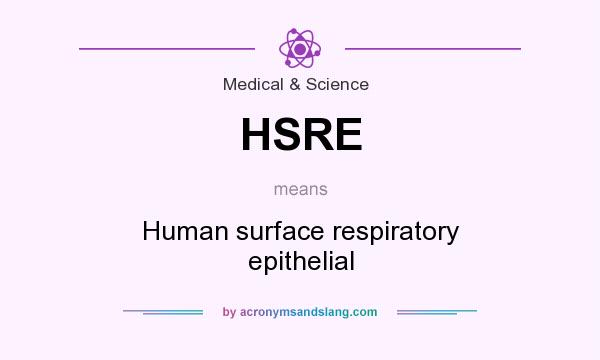 What does HSRE mean? It stands for Human surface respiratory epithelial