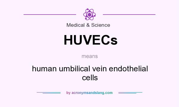 What does HUVECs mean? It stands for human umbilical vein endothelial cells