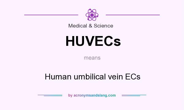 What does HUVECs mean? It stands for Human umbilical vein ECs