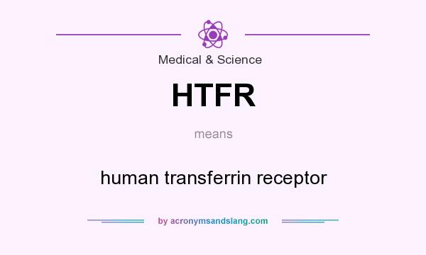 What does HTFR mean? It stands for human transferrin receptor