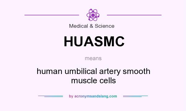 What does HUASMC mean? It stands for human umbilical artery smooth muscle cells