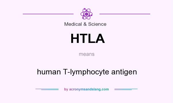 What does HTLA mean? It stands for human T-lymphocyte antigen