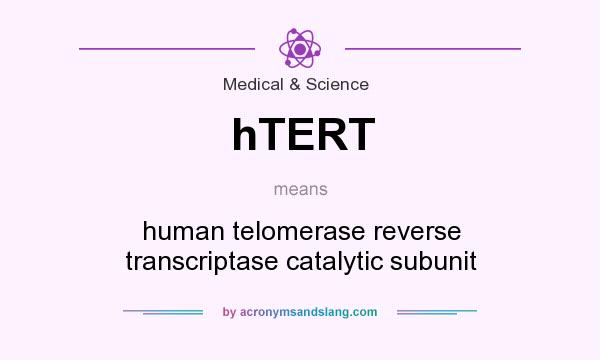 What does hTERT mean? It stands for human telomerase reverse transcriptase catalytic subunit