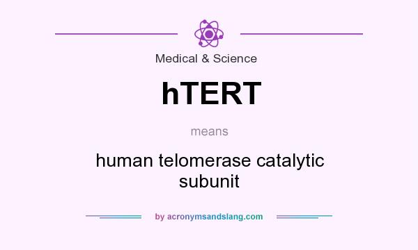 What does hTERT mean? It stands for human telomerase catalytic subunit