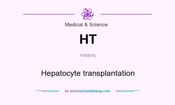 What does HT mean? It stands for Hepatocyte transplantation