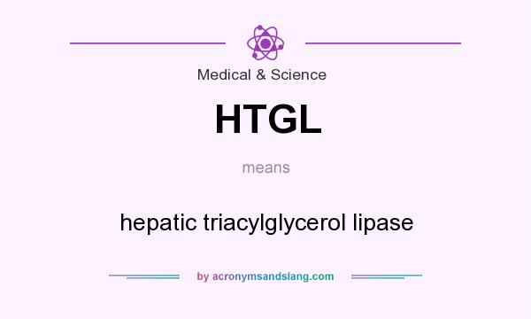What does HTGL mean? It stands for hepatic triacylglycerol lipase