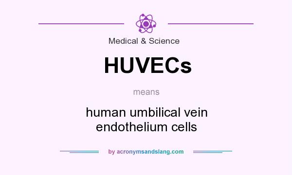 What does HUVECs mean? It stands for human umbilical vein endothelium cells