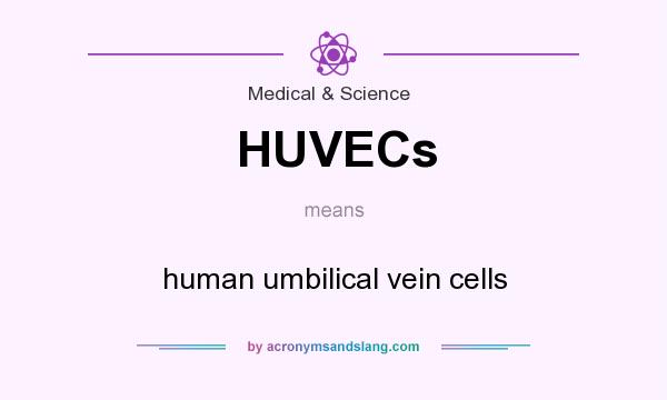 What does HUVECs mean? It stands for human umbilical vein cells