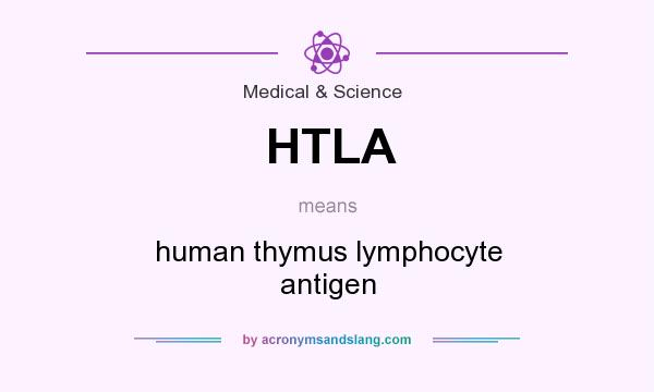 What does HTLA mean? It stands for human thymus lymphocyte antigen