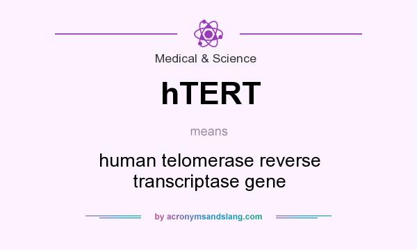 What does hTERT mean? It stands for human telomerase reverse transcriptase gene