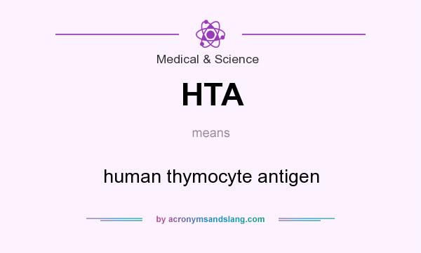 What does HTA mean? It stands for human thymocyte antigen